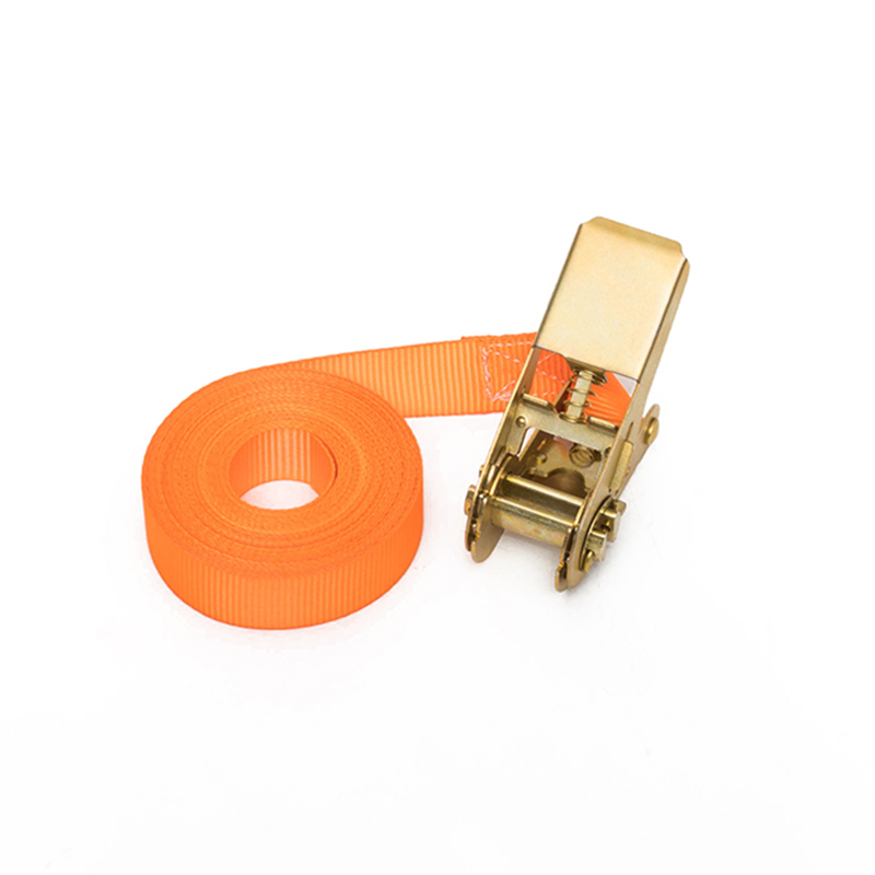 1 inch 25mm*500kg/800kg curea de clichet cu buclă interminabilă